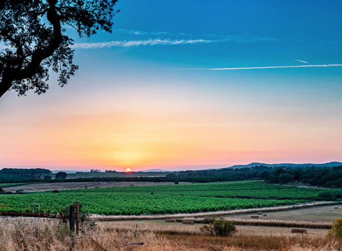 guardamos o melhor para si